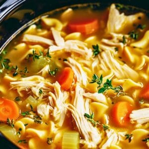 crockpot chicken noodle soup with egg noodles carrots and parsley